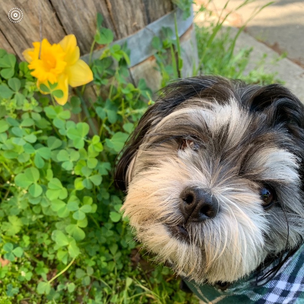 BuddyLee Wishes you Health and Happiness!